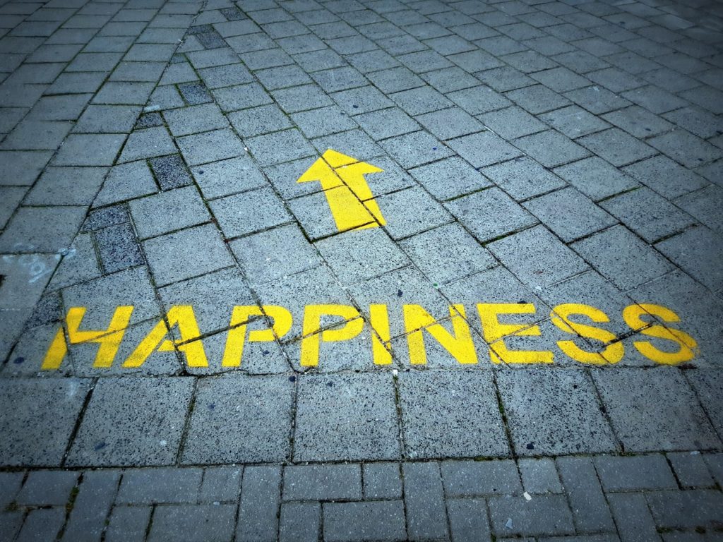 A grey brick road has the word HAPPINESS in all capitals and an arrow pointing in a direction towards the top of the screen. 
